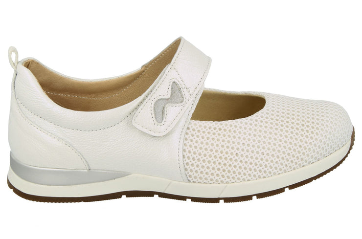 Womens Wide Fit DB Hawaii Canvas Shoes