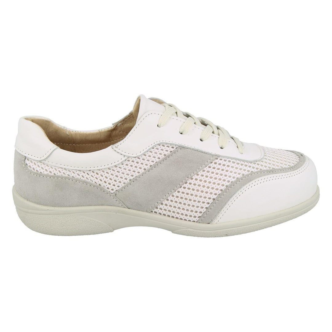 Women's Wide Fit DB Echo Canvas Trainers