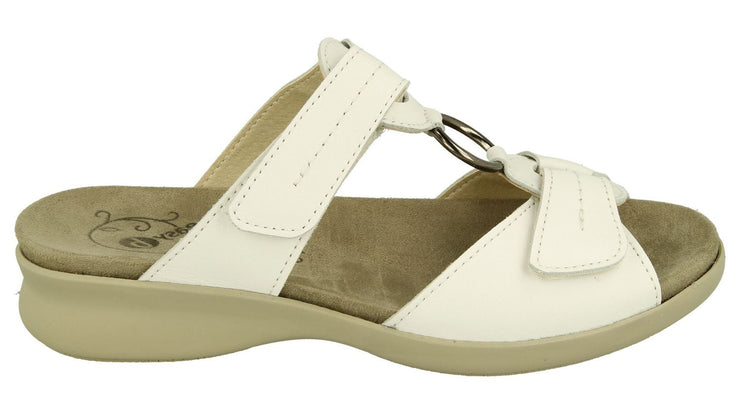Womens Wide Fit DB Scooter Mule Sandals